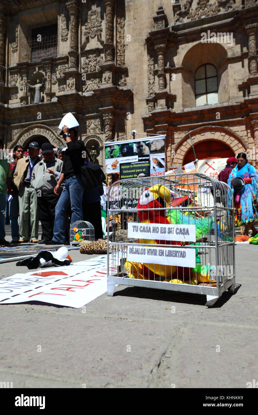 Les militants qui protestaient devant l'église de San Francisco contre le gouvernement envisage de construire une route à travers la région TIPNIS, La Paz, Bolivie Banque D'Images