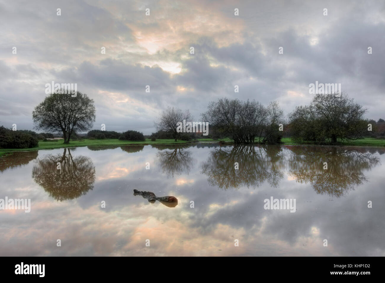 New Forest, Janesmoor étang, Lyndhurst, Hampshire, Angleterre, Royaume-Uni Banque D'Images