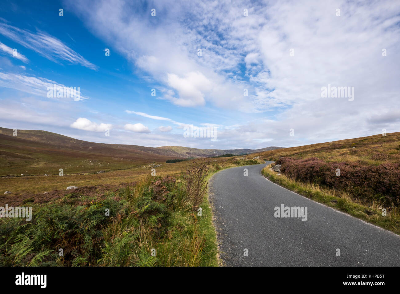 La route militaire par le biais de la tourbière couverture Sally Gap salon sur les montagnes de Wicklow, Irlande Banque D'Images