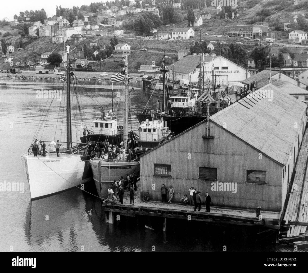 AJAXNETPHOTO. OCT, 1964. CORNER BROOK, Terre-Neuve. - La pêche des bateaux amarrés le long de la jetée de l'Ouest LES BORNES. PHOTO:JONATHAN EASTLAND/AJAX REF:243601 Banque D'Images