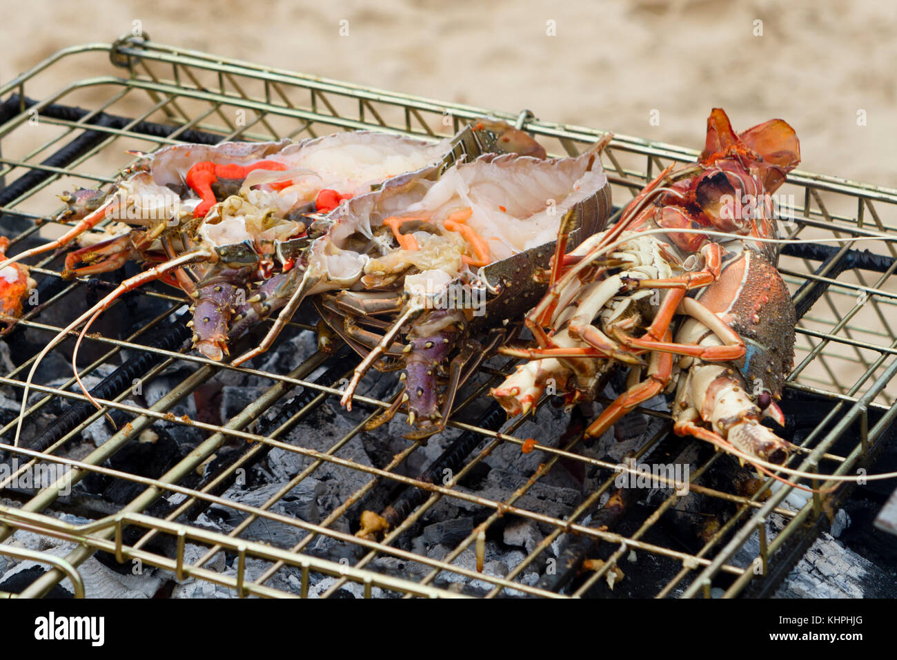 homards Banque D'Images