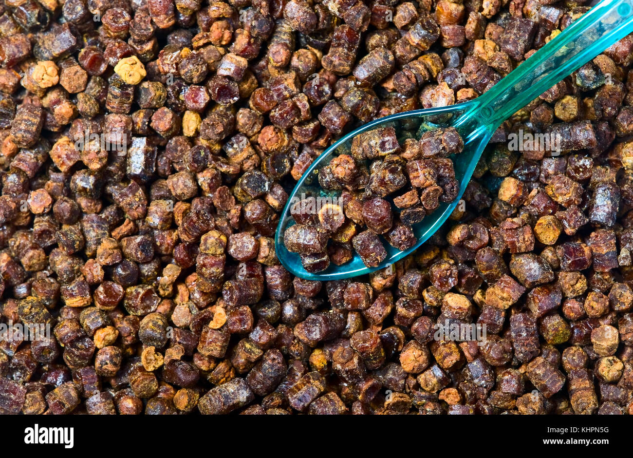 Les granules de propolis avec arrière-plan à l'intérieur de la cuillère, produit de l'abeille Banque D'Images