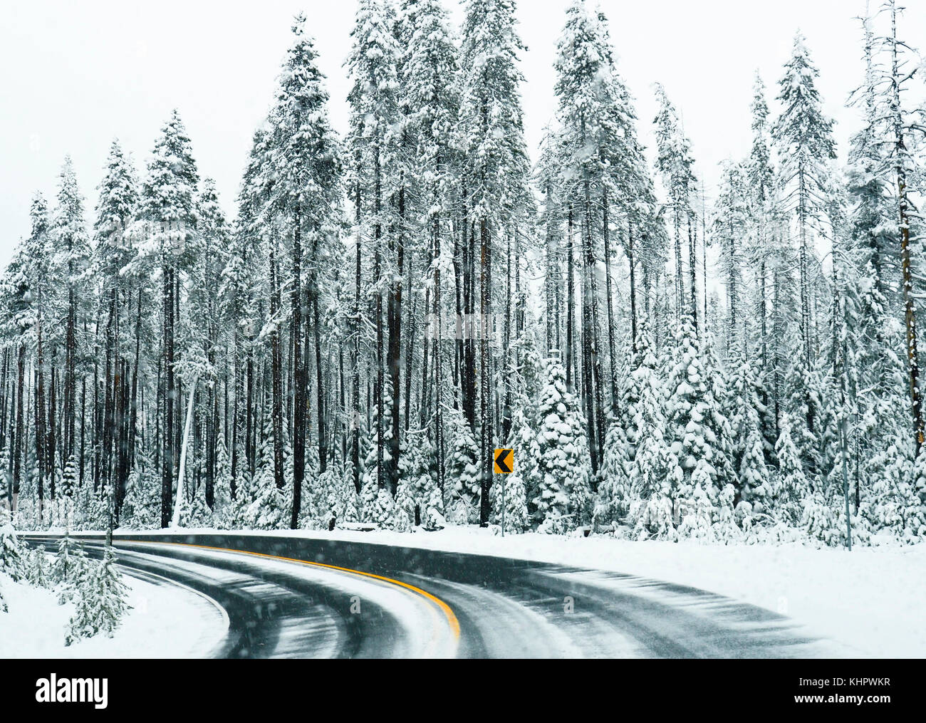 Le sud de l'oregon en courbe Zone de neige route près de Crater Lake. Banque D'Images