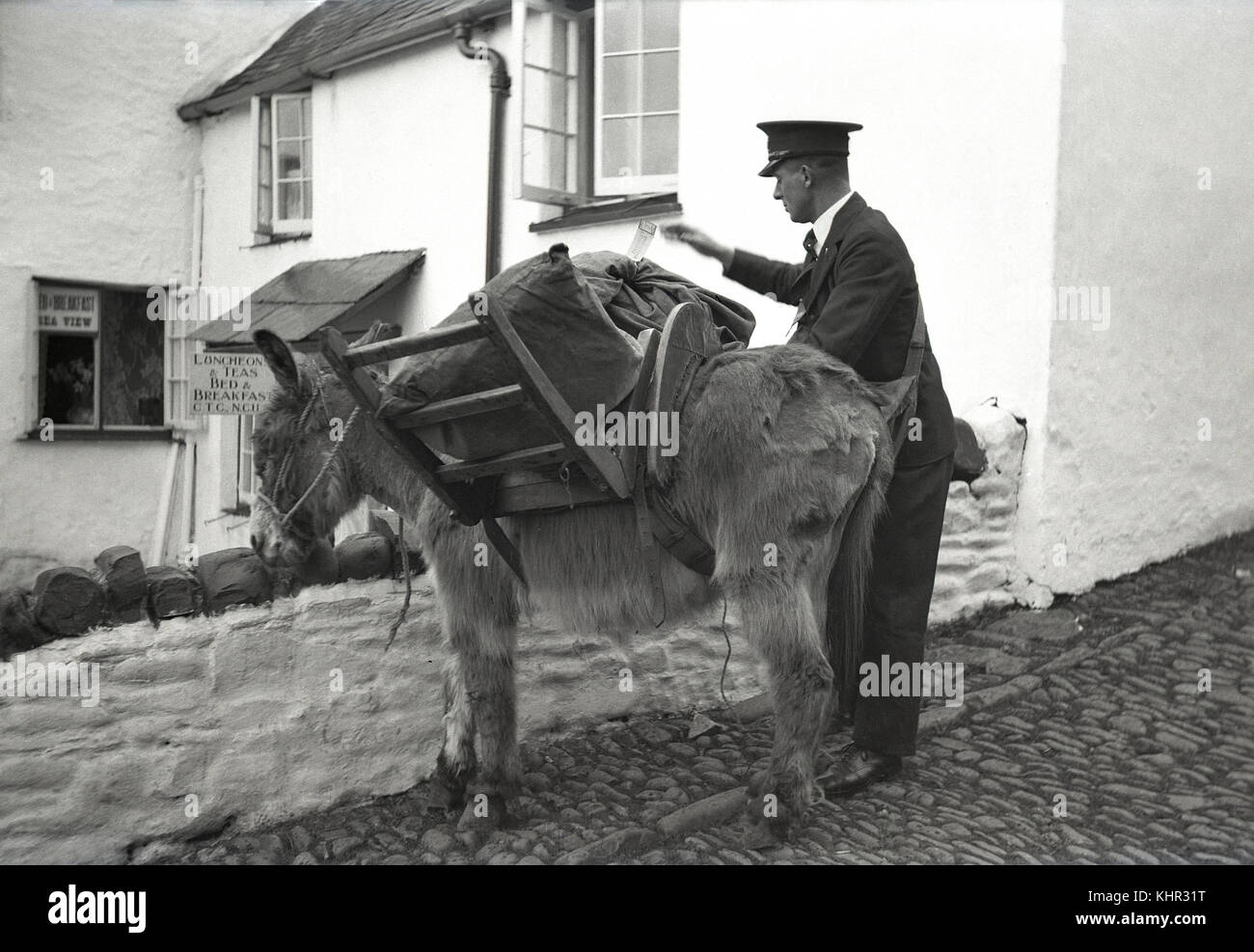 1950s, un facteur dans une chemise & cravate et chapeau avec son âne, qui avec un harnais en bois porte les sacs de courrier. Prise à Covelly, Devon, Angleterre, Royaume-Uni, où les rues pavées escarpées et étroites signifiaient que les ânes étaient utilisés à de nombreuses fins autour du village et du port. Banque D'Images