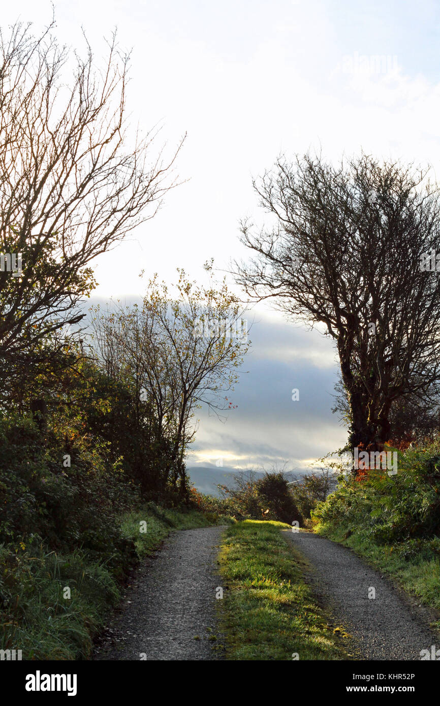 Irish country road Banque D'Images