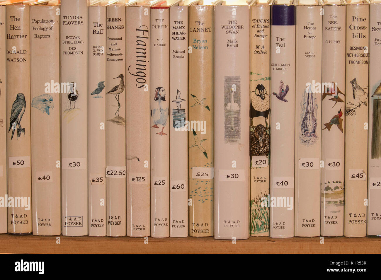 Dos de livres ; des piles de livres d'oiseaux, étagère, livre, l'éducation, bibliothèque, Bibliothèque, littérature, et histoire naturelle des volumes de référence sur une étagère. UK Banque D'Images