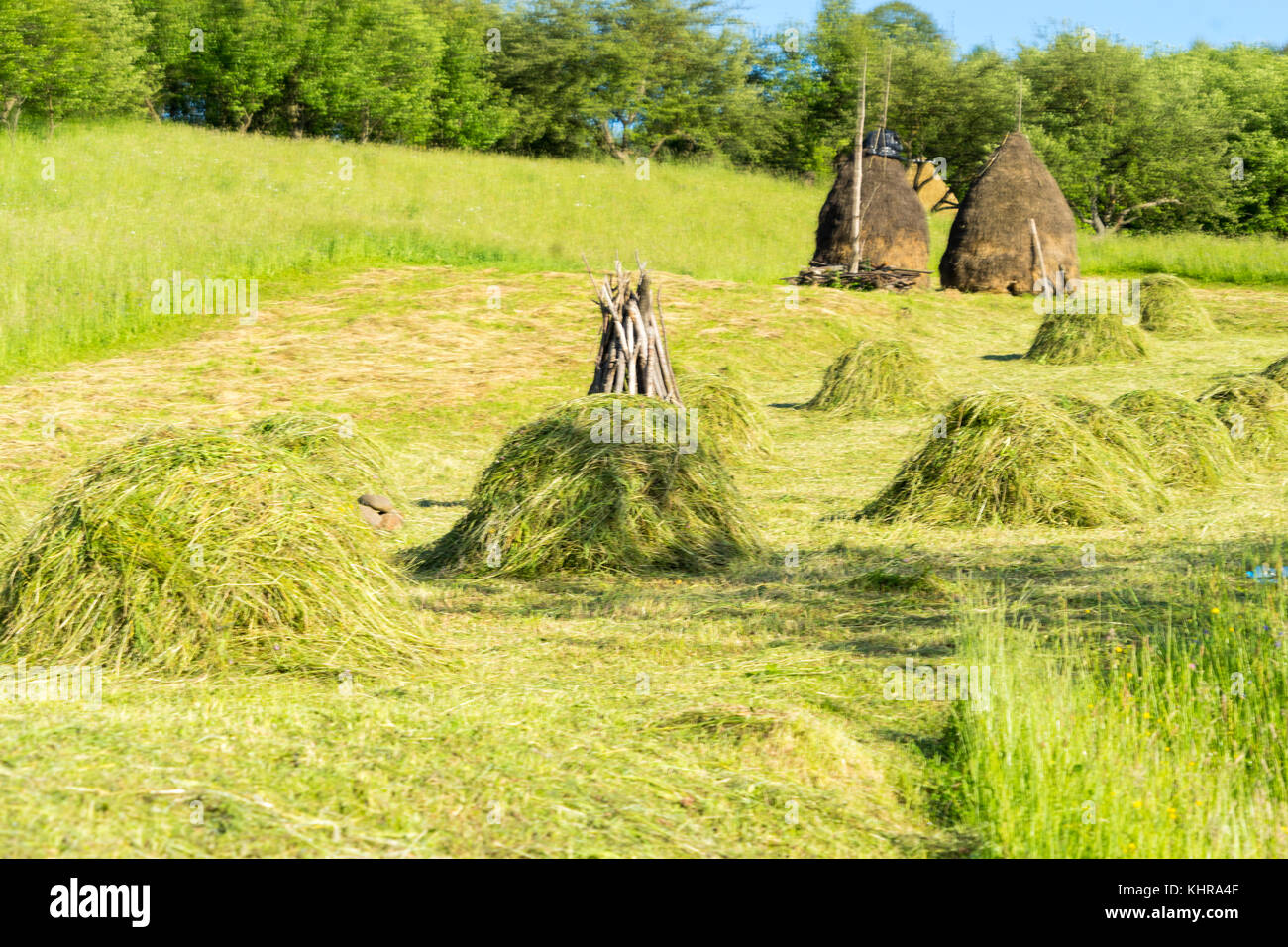 Cette scène est dans les Carpates dans comté de Maramures en Roumanie Banque D'Images