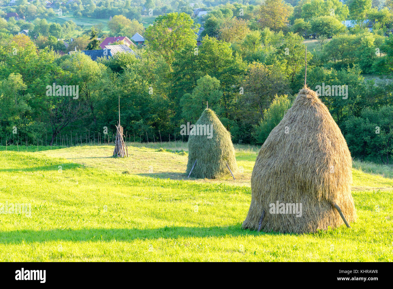 Cette scène est dans les Carpates dans comté de Maramures en Roumanie Banque D'Images