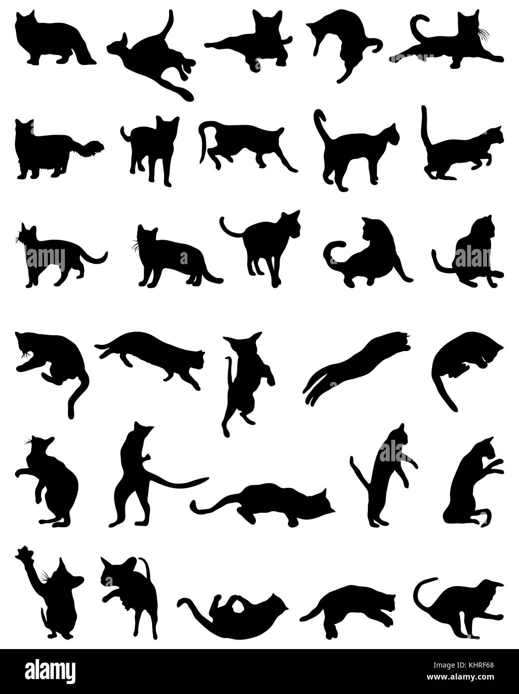 Silhouettes de chats noirs sur fond blanc Banque D'Images