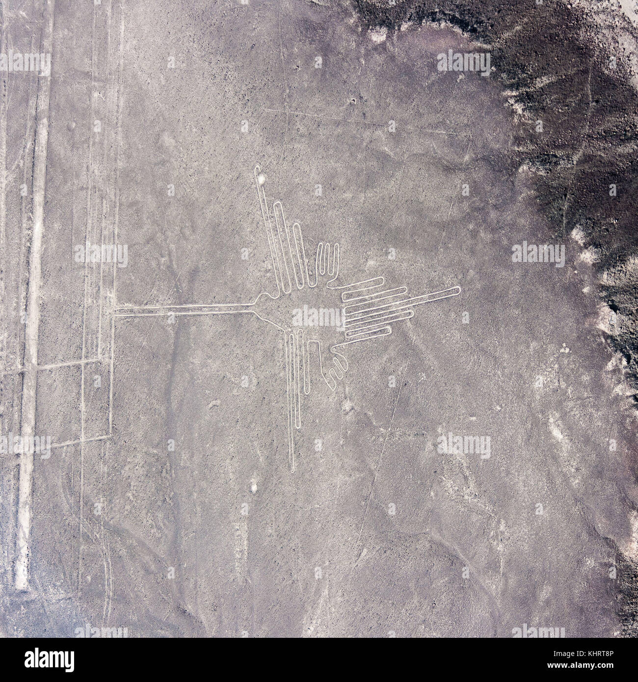 Vue A rienne De La Spectaculaire Lignes De Nazca P rou Photo Stock Alamy