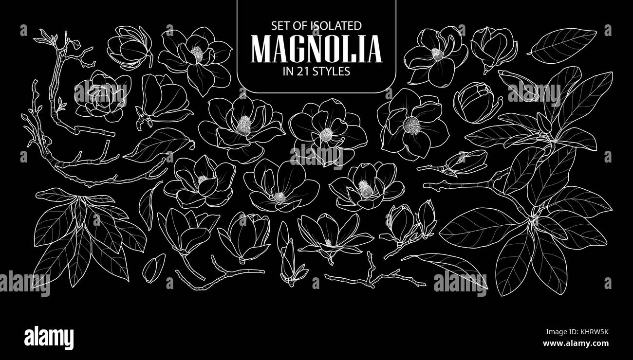 Ensemble de magnolia isolés dans 21 styles. cute hand drawn vector illustration fleur contour blanc sur fond noir. Illustration de Vecteur