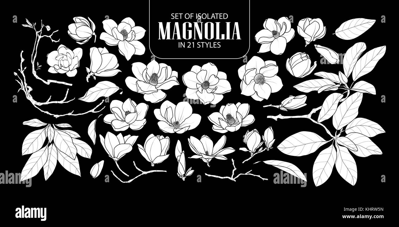 Ensemble de silhouette blanche isolée dans 21 magnolia styles. cute hand drawn vector illustration fleurs en avion blanc et sans contour sur fond noir. Illustration de Vecteur