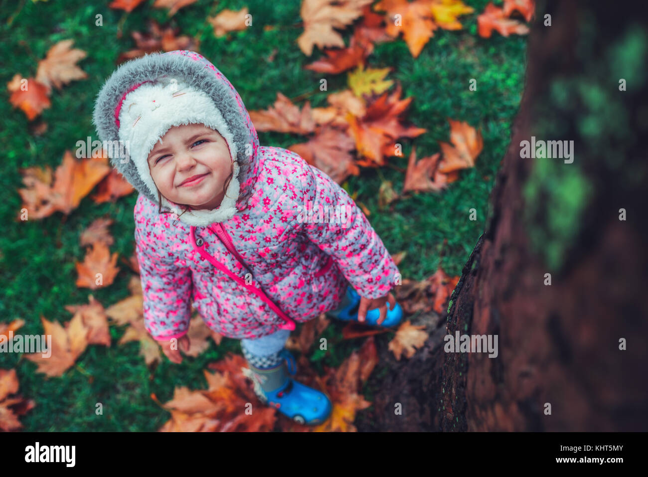 Les feuilles d'automne humide jaune sur le fond de l'herbe. Banque D'Images