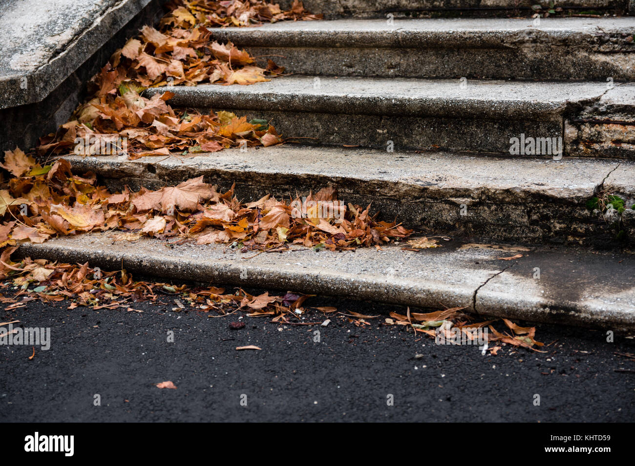 Ancien escalier en béton recouvert de feuilles d'automne Banque D'Images