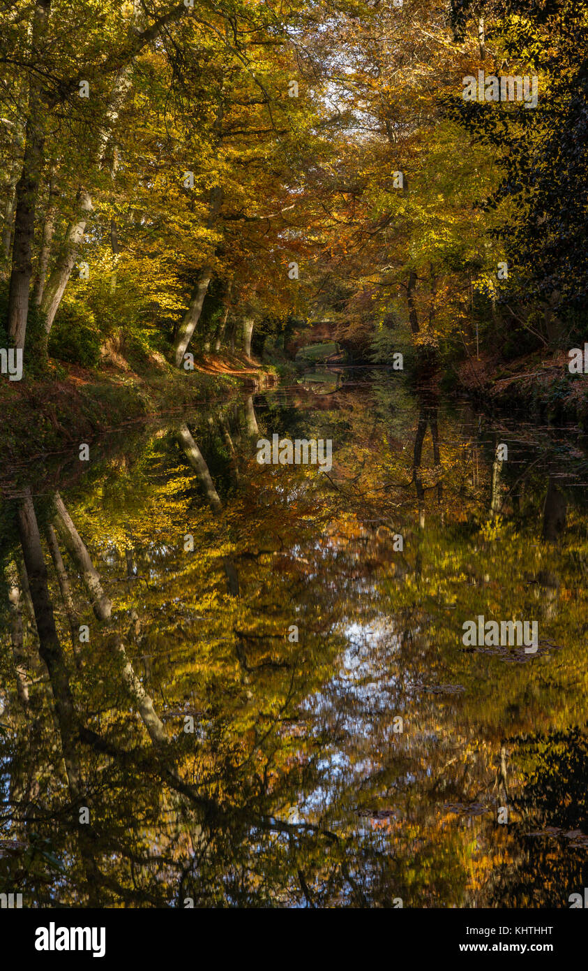 Canal de Basingstoke, Hampshire stretch Banque D'Images Canal de Basingstoke, Hampshire stretch Banque D'Images