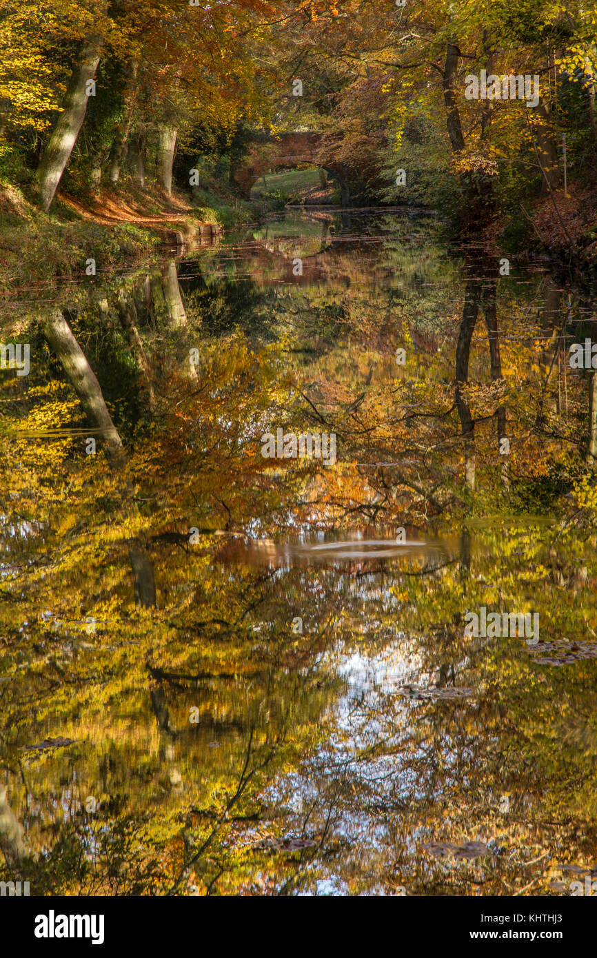 Automne couleur reflétée Banque D'Images