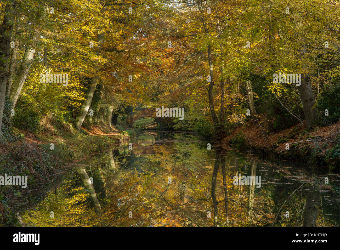 Réflexions du canal d'automne Banque D'Images Réflexions du canal d'automne Banque D'Images