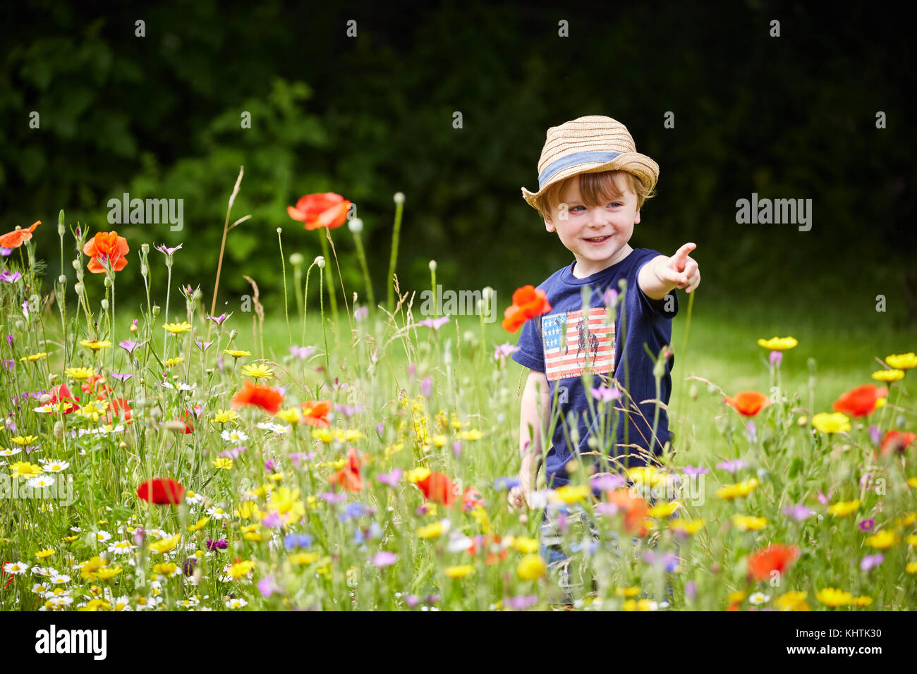 Whalley village de la vallée de Ribble, Lancashire. Sur la photo d'un petit garçon, William Waugh, jouer dans les fleurs sauvages et les herbes hautes à Whalley Abbey. Banque D'Images