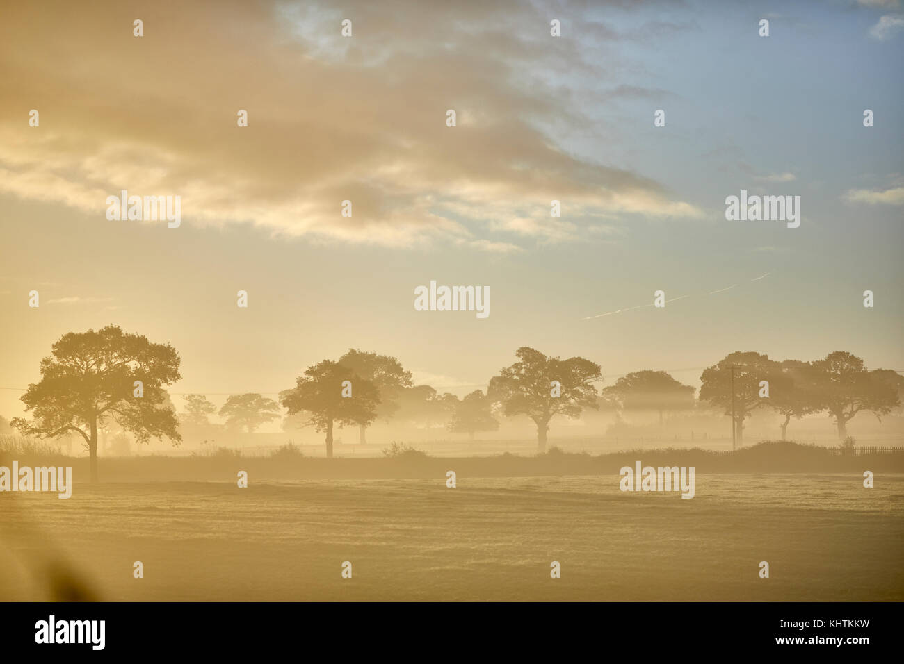 Matin d'automne brouillard brouillard campagne du Cheshire , Tiverton, Tarporley. Banque D'Images