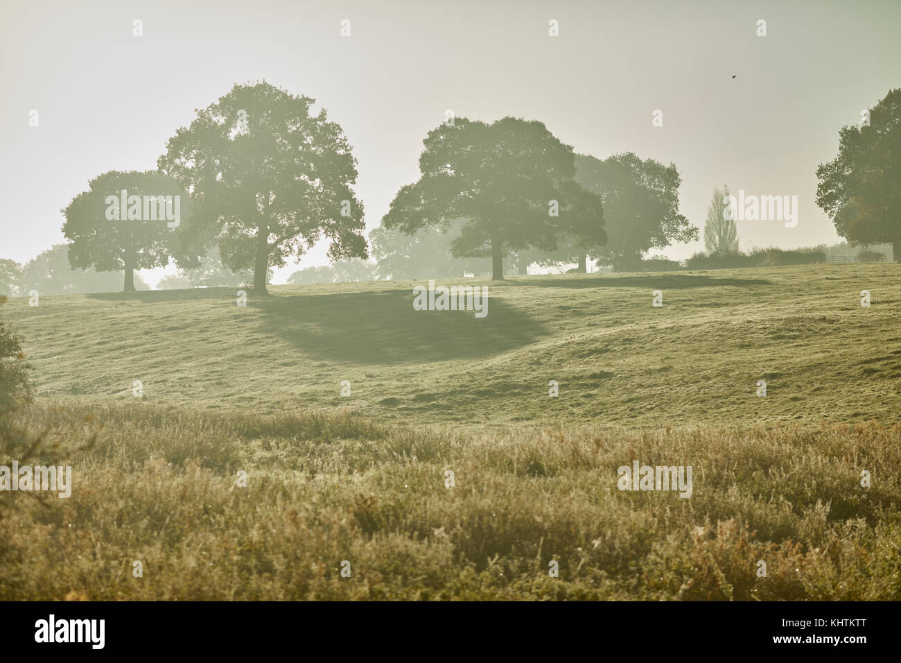 En automne, campagne du Cheshire à Bunbury serrures escalier près de Nantwich Banque D'Images
