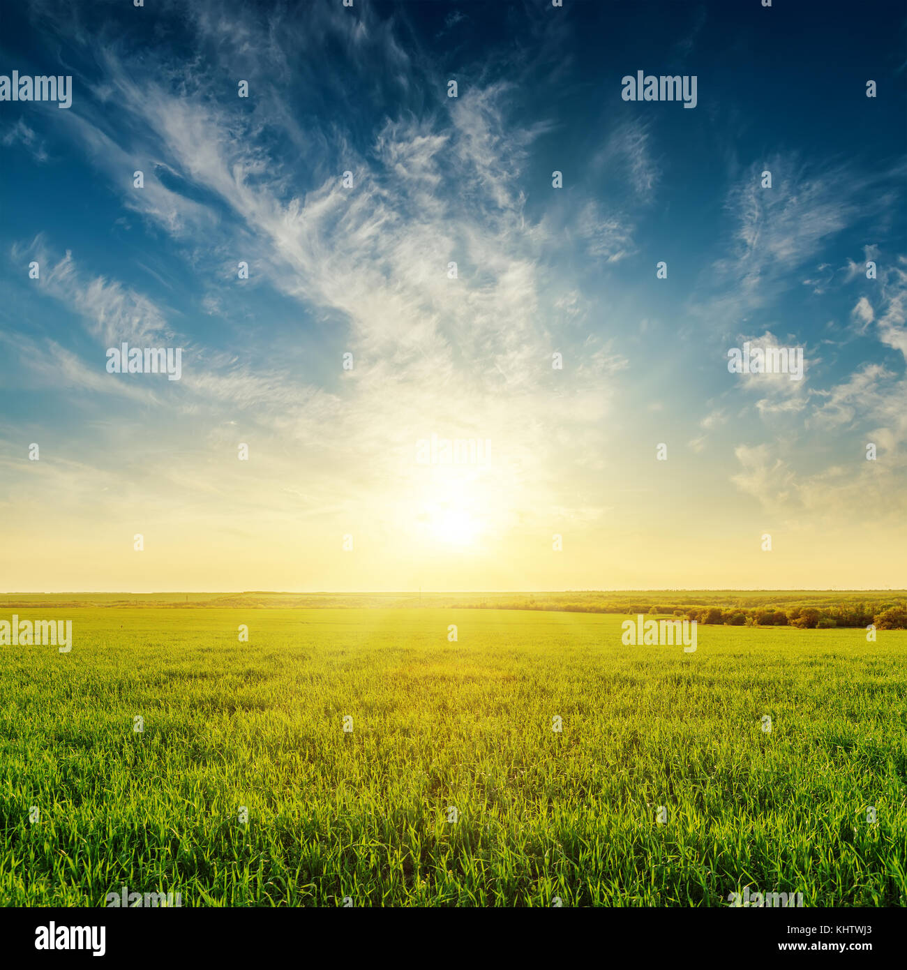 Golden sunset dans ciel nuageux sur green grass field Banque D'Images