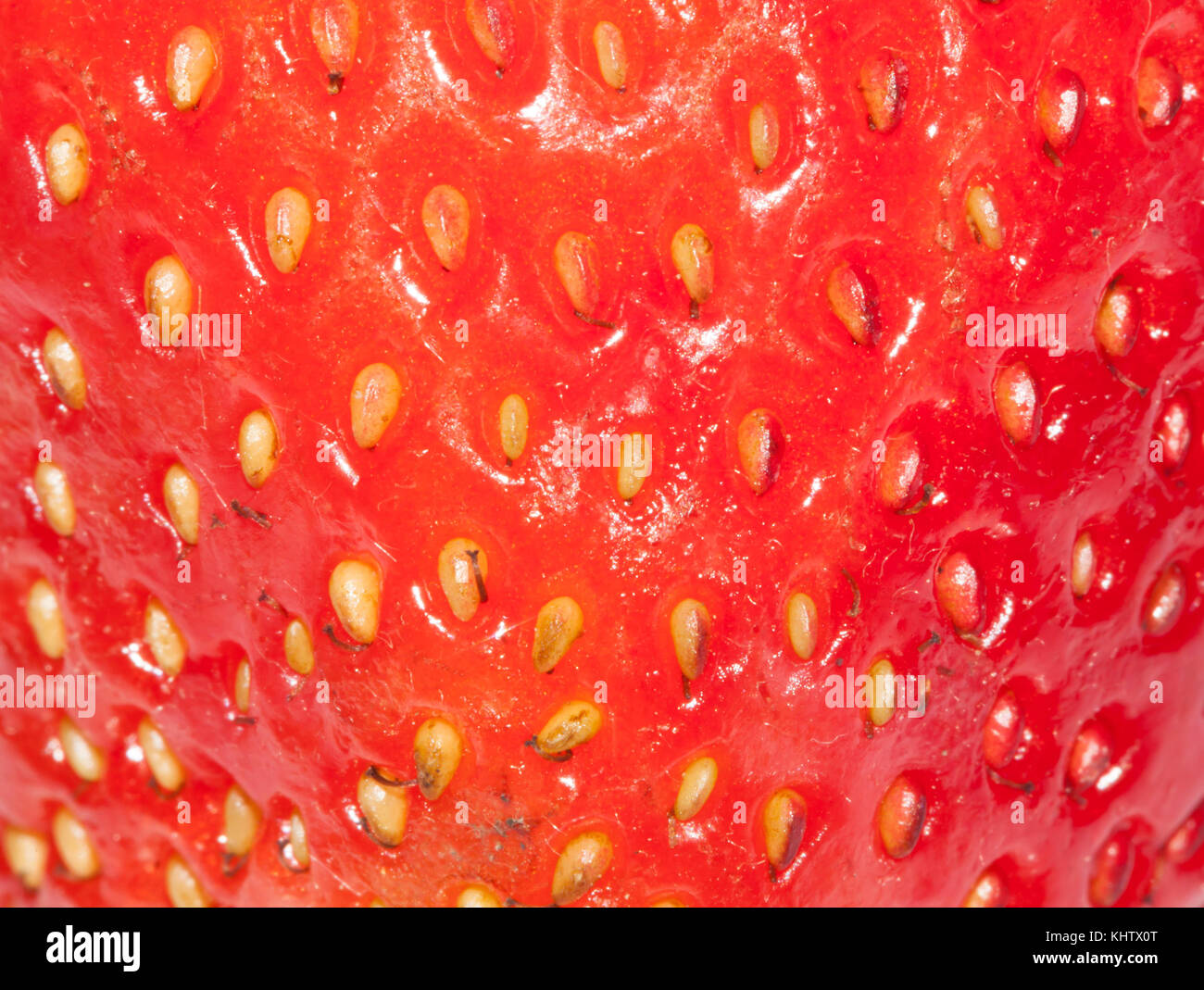 Fraise rouge gros plan texture, abstract background Banque D'Images