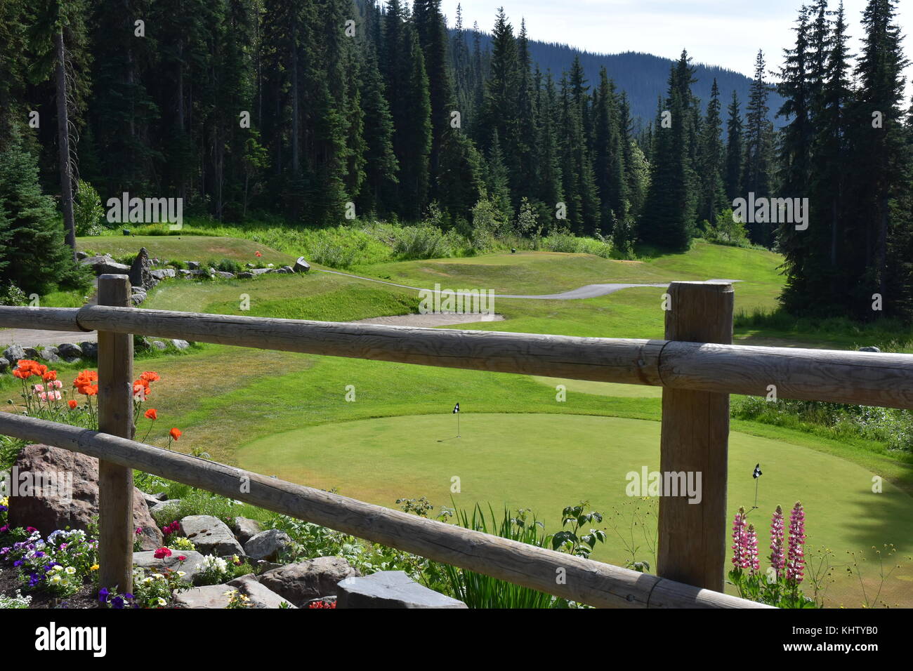 Vert de pratique sur le Sun Peaks Resort de golf. Banque D'Images