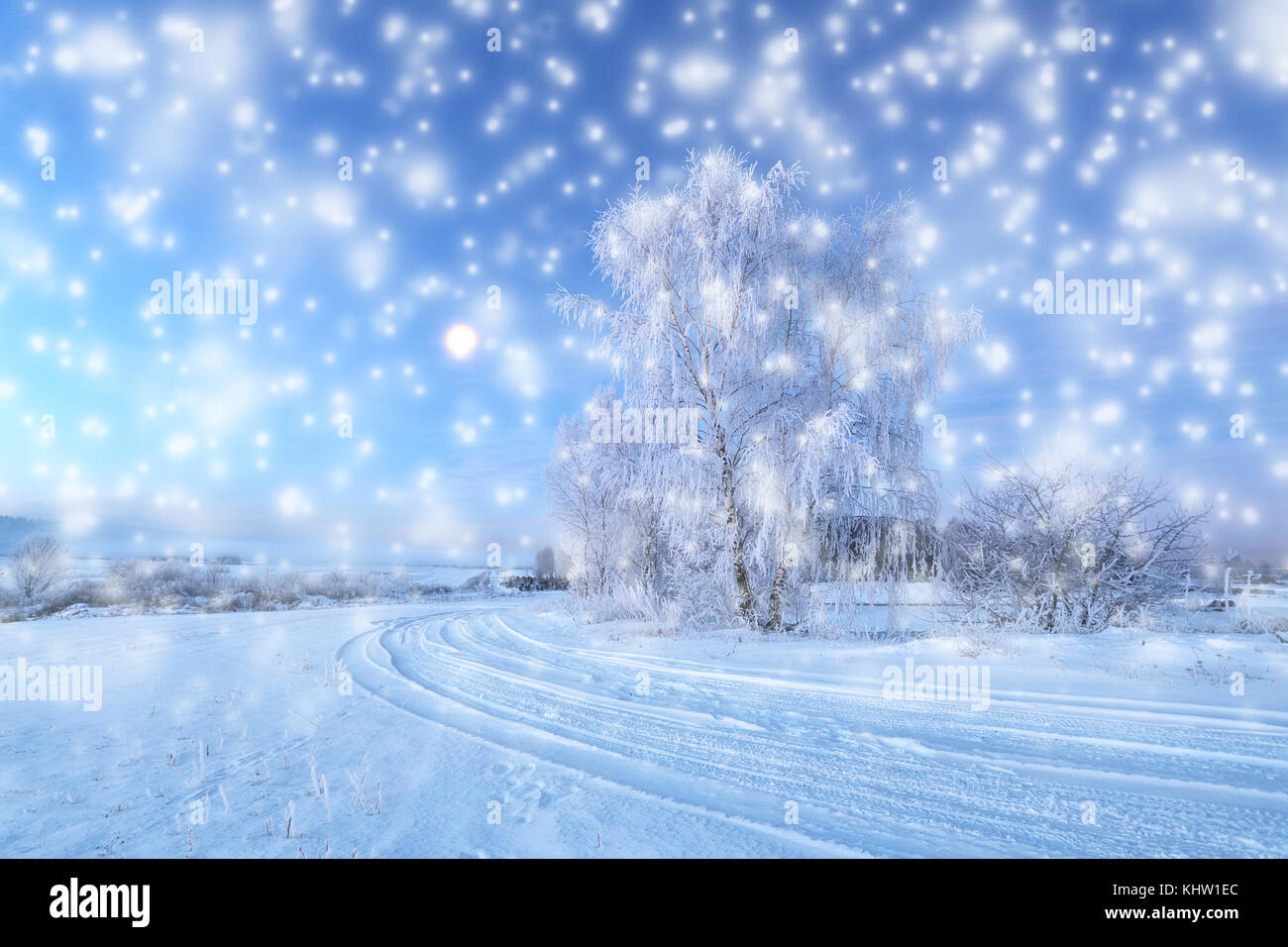 Neige de noël en parc. flocons sur fond de parc d'hiver. beau thème de Noël. Banque D'Images