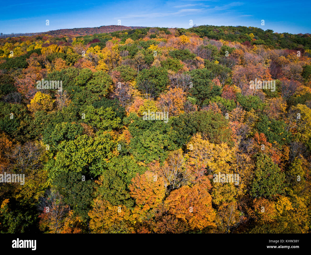 Vue aérienne de la forêt durant l'automne des couleurs éclatantes Banque D'Images