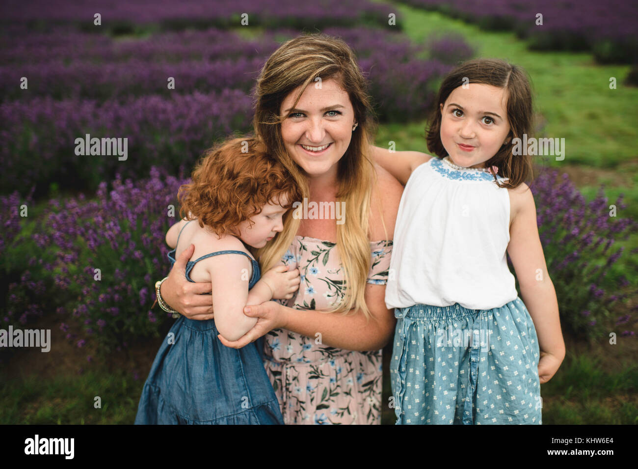La mère et les filles en champ de lavande, campbellcroft, Canada Banque D'Images