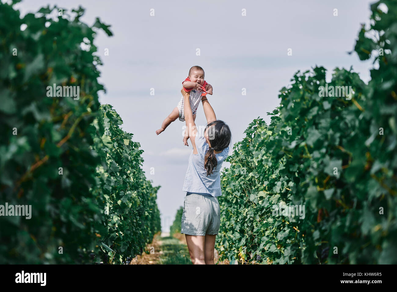 Woman holding up baby daughter in vineyard, Bergerac, aquitaine, france Banque D'Images