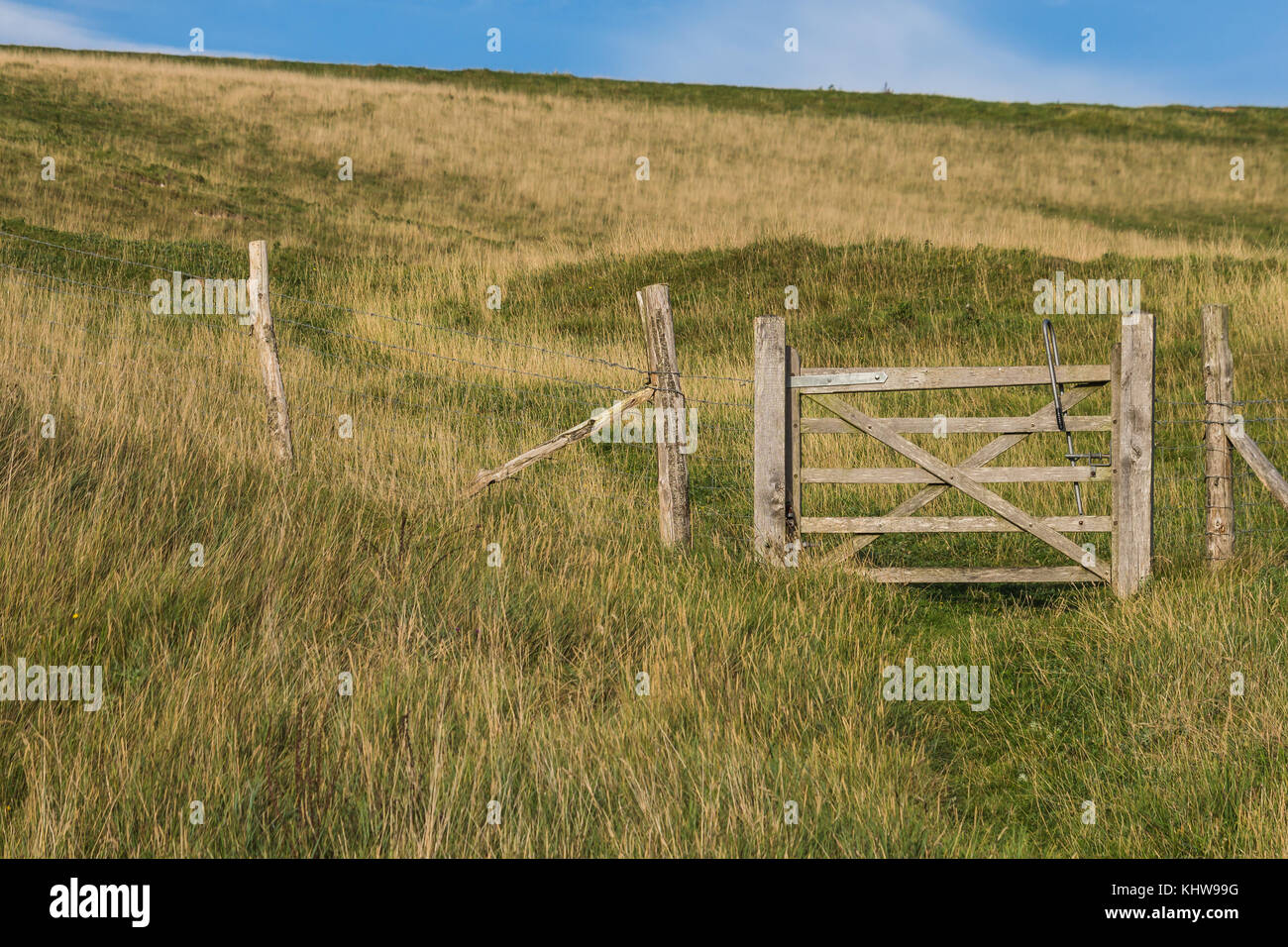 Une porte en bois s'ouvrant sur un sentier public et un champ ouvert dans la campagne anglaise. Prise près de la mer dans les South Downs. Soleil d'été, pas de personnes. Banque D'Images