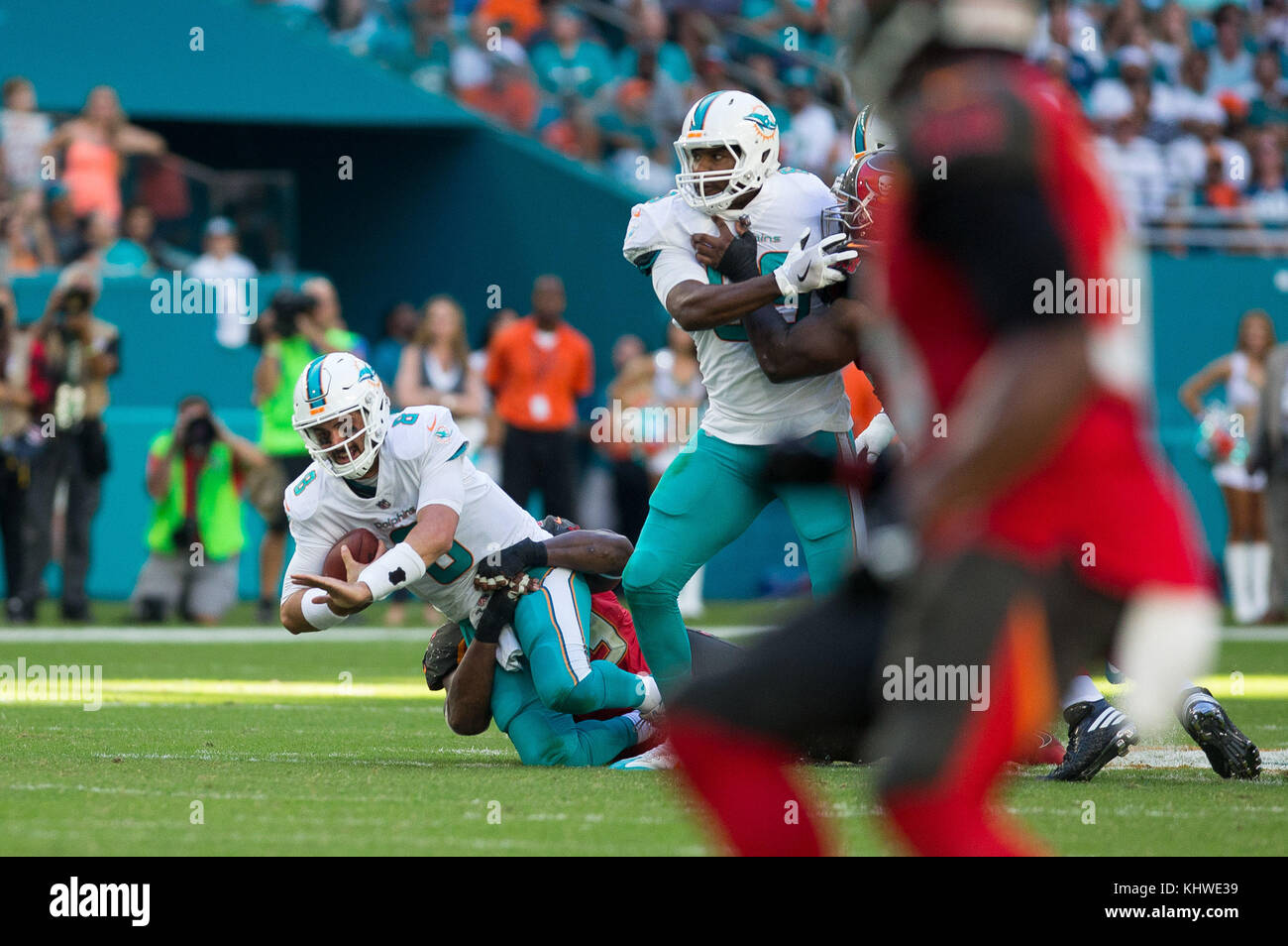 En Floride, aux États-Unis. 19 Nov, 2017. Miami Dolphins Quarterback Matt Moore (8) est traîné vers le bas par Tampa Bay Buccaneers attaquer défensive Gerald McCoy (93) sur une bousculade pendant la seconde moitié d'un jeu entre la NFL Tampa Bay Buccaneers et les Dolphins de Miami au Hard Rock Stadium de Miami Gardens, en Floride, le dimanche, 19 novembre, 2017. Credit : Loren Elliott/Tampa Bay Times/ZUMA/Alamy Fil Live News Banque D'Images