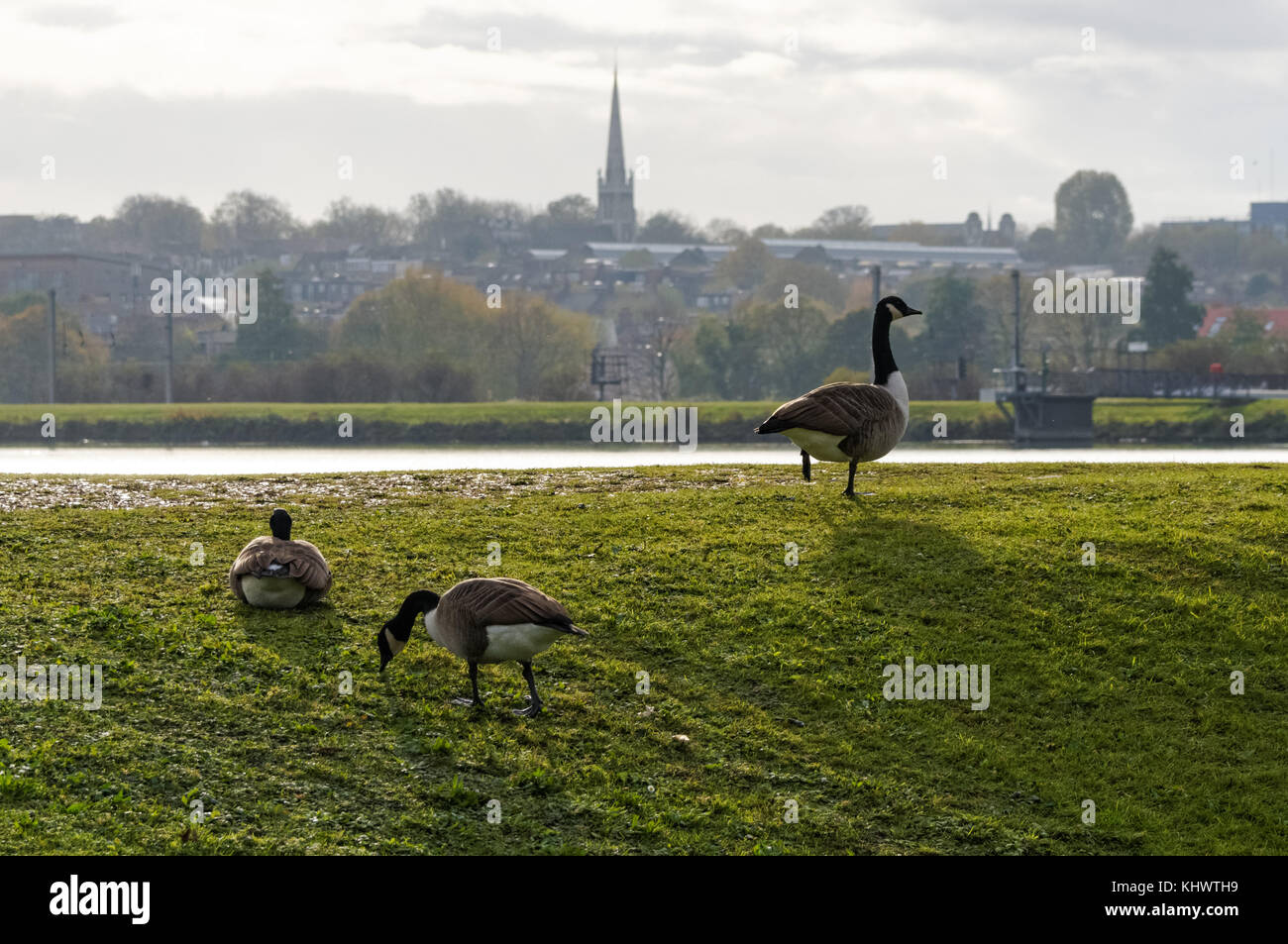 Vue sur l'Est du réservoir de Warwick à Walthamstow Wetlands, Londres, Angleterre, Royaume-Uni, UK Banque D'Images