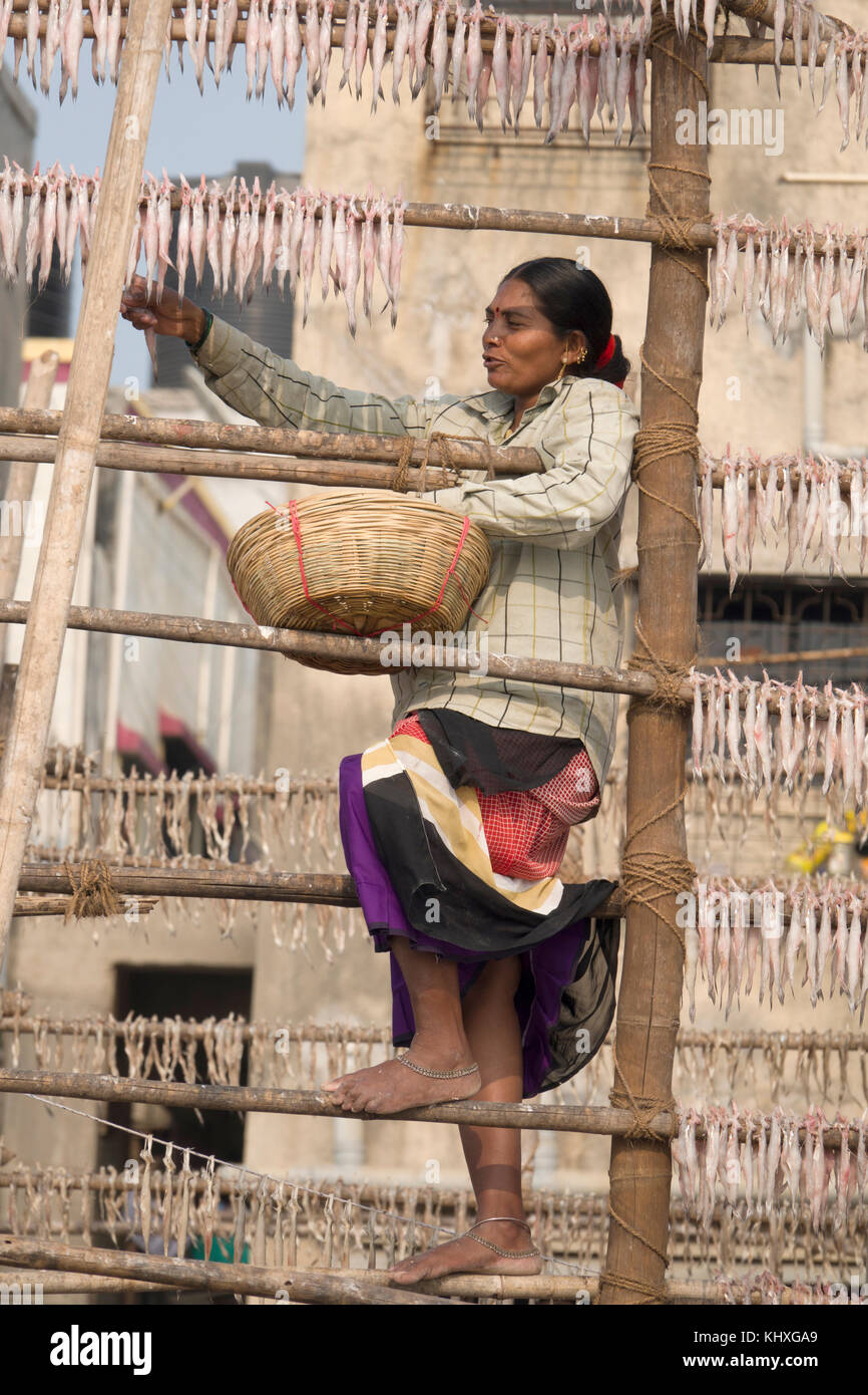 Femme poissons suspendus sur des séchoirs à sun à plage de versova, Mumbai Banque D'Images