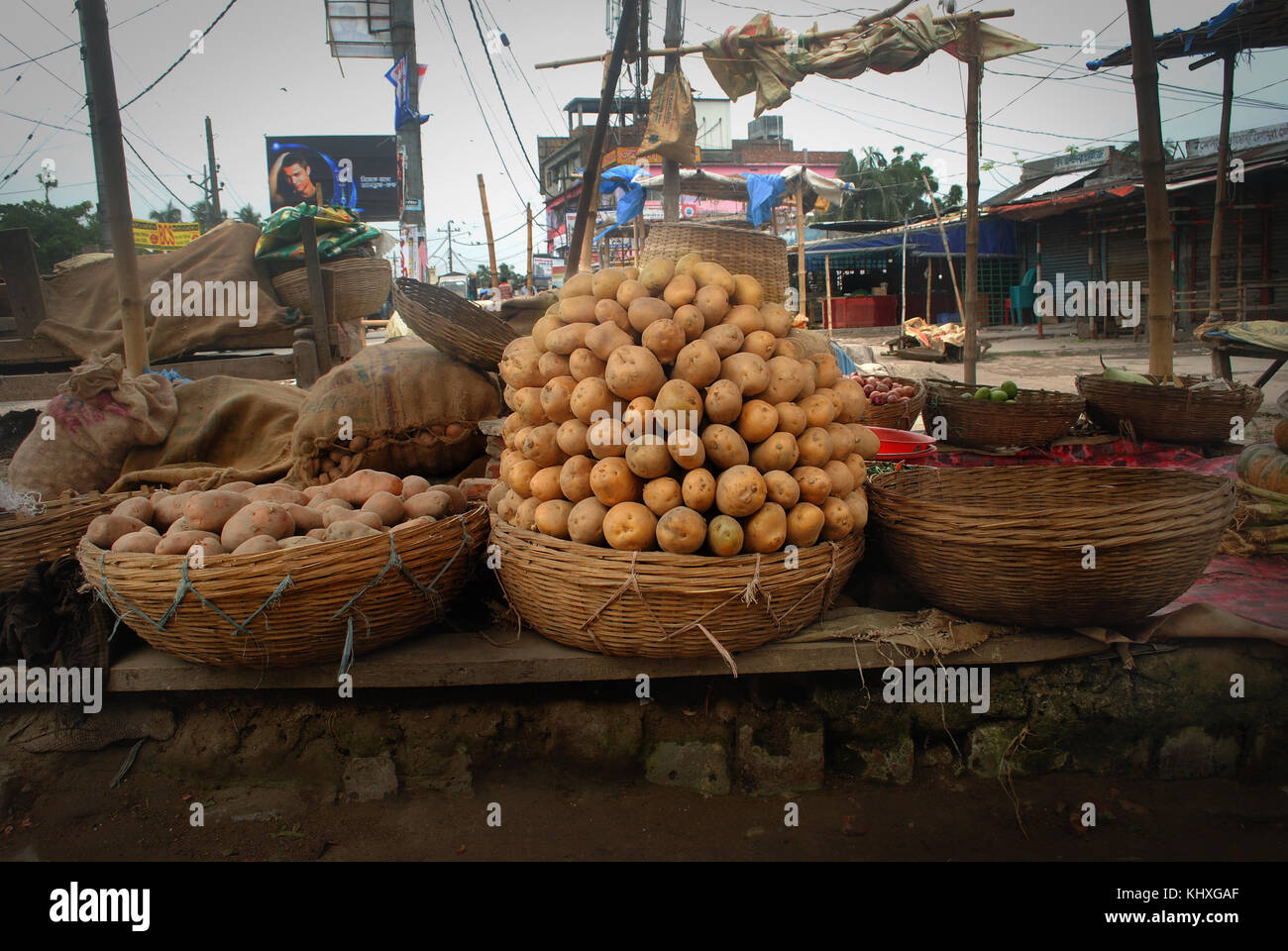 Les pommes de terre. Banque D'Images