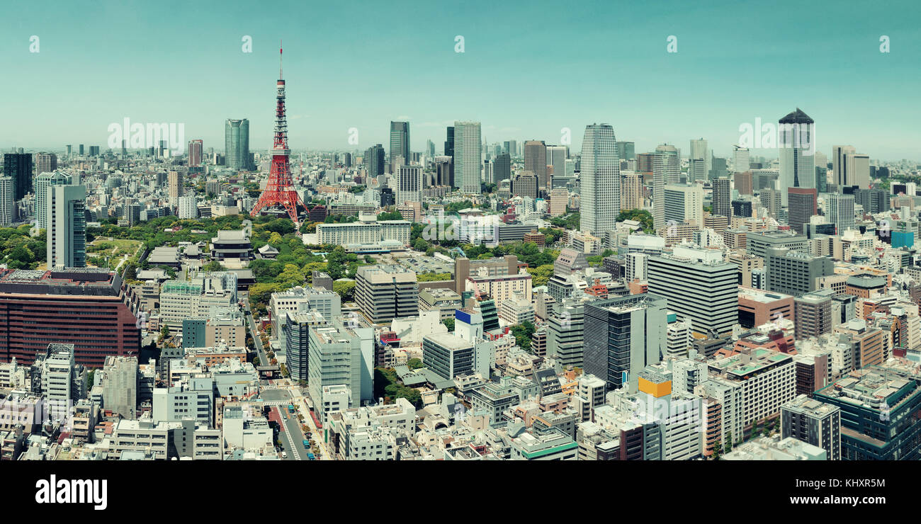 Tour de Tokyo et du paysage urbain, vue sur le toit du Japon. Banque D'Images