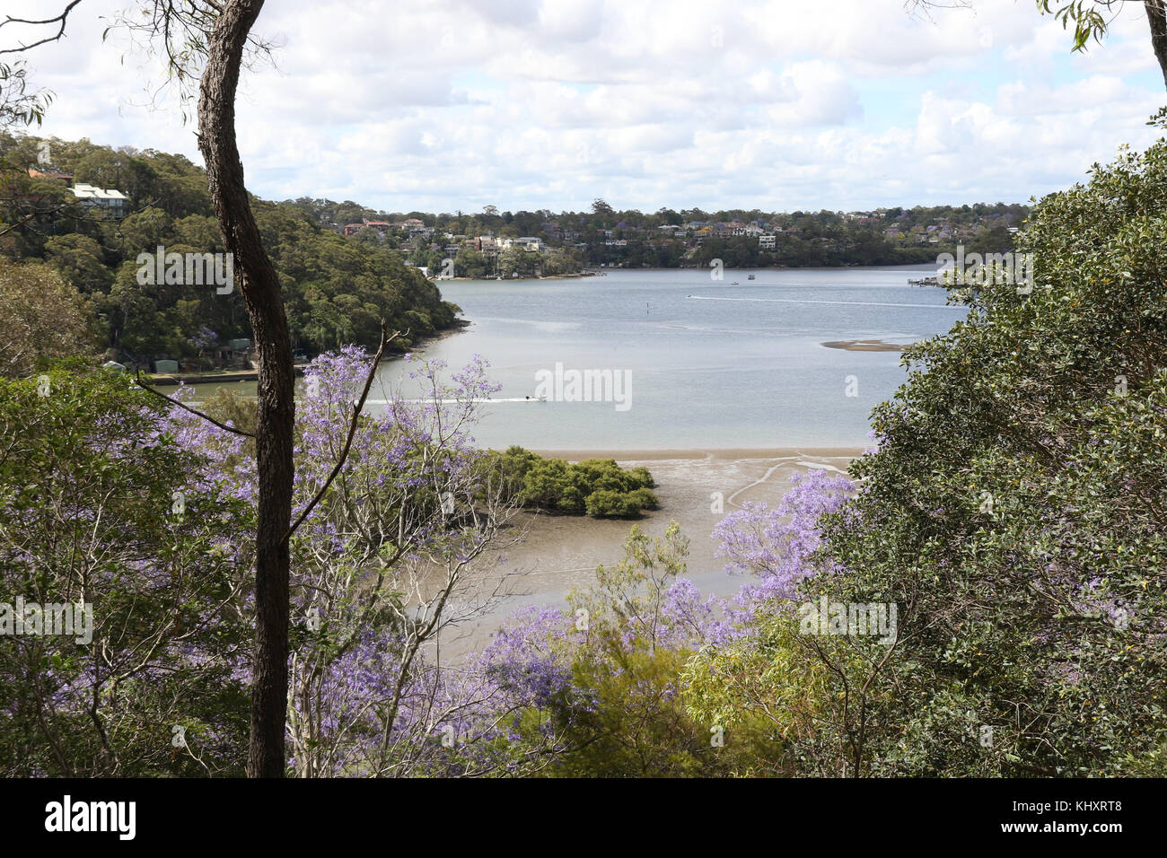 Vue vers le bas de l'île de mangroves et où le fleuve rencontre la Woronora Georges River à partir de l'Avenue centrale à Côme, Sutherland Shire. Banque D'Images