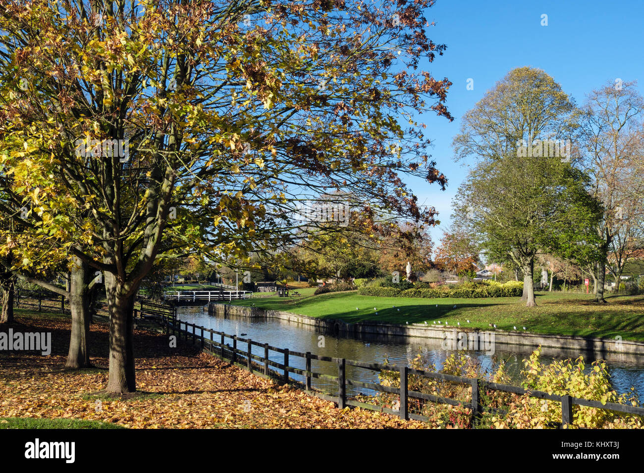 Le canal de Droitwich en vignes parc avec des arbres de l'automne. Droitwich Spa, Worcestershire, Angleterre, Royaume-Uni, Angleterre Banque D'Images