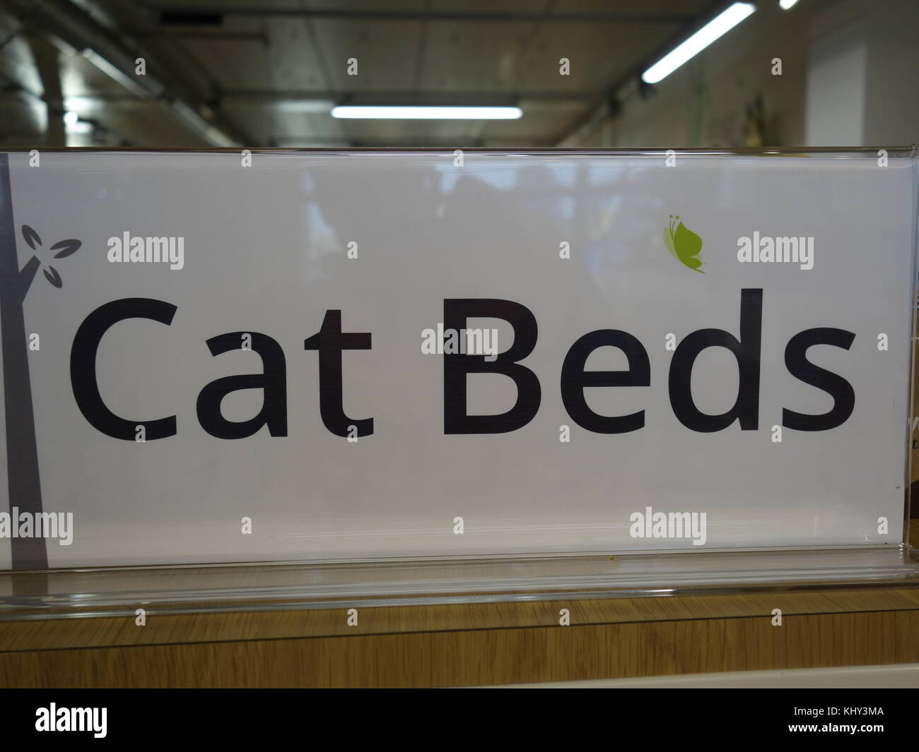 Texte d'appoint cat Banque D'Images