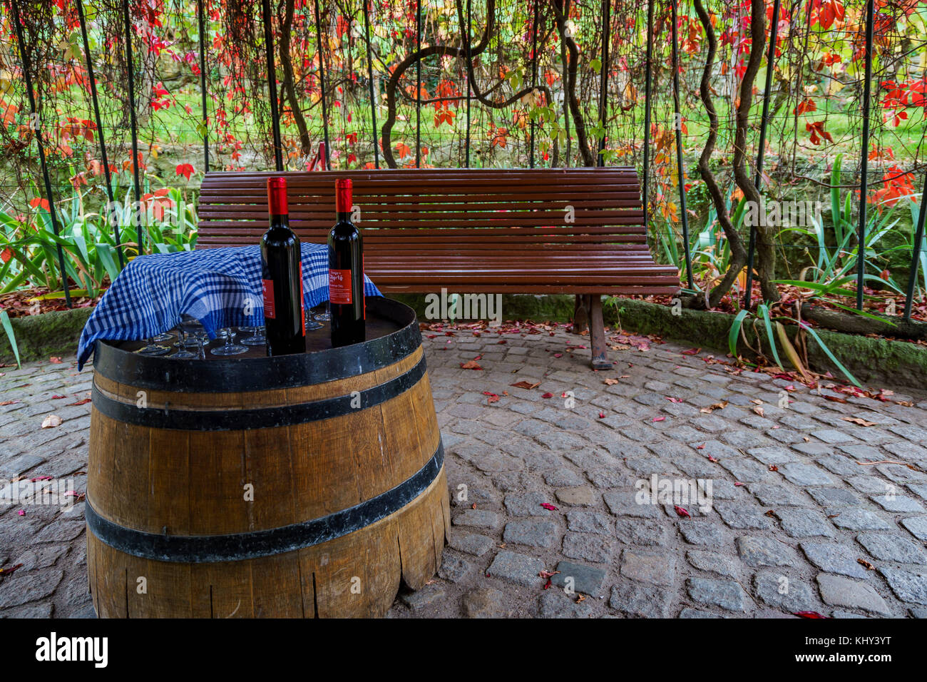 La seule cave de vinification de la ville de Paris Banque D'Images