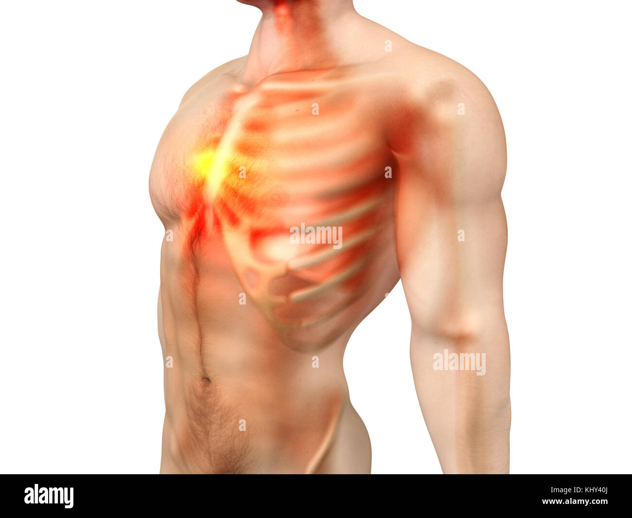 Douleur dans la poitrine ou le cœur. Rendu 3D illustration Photo ...