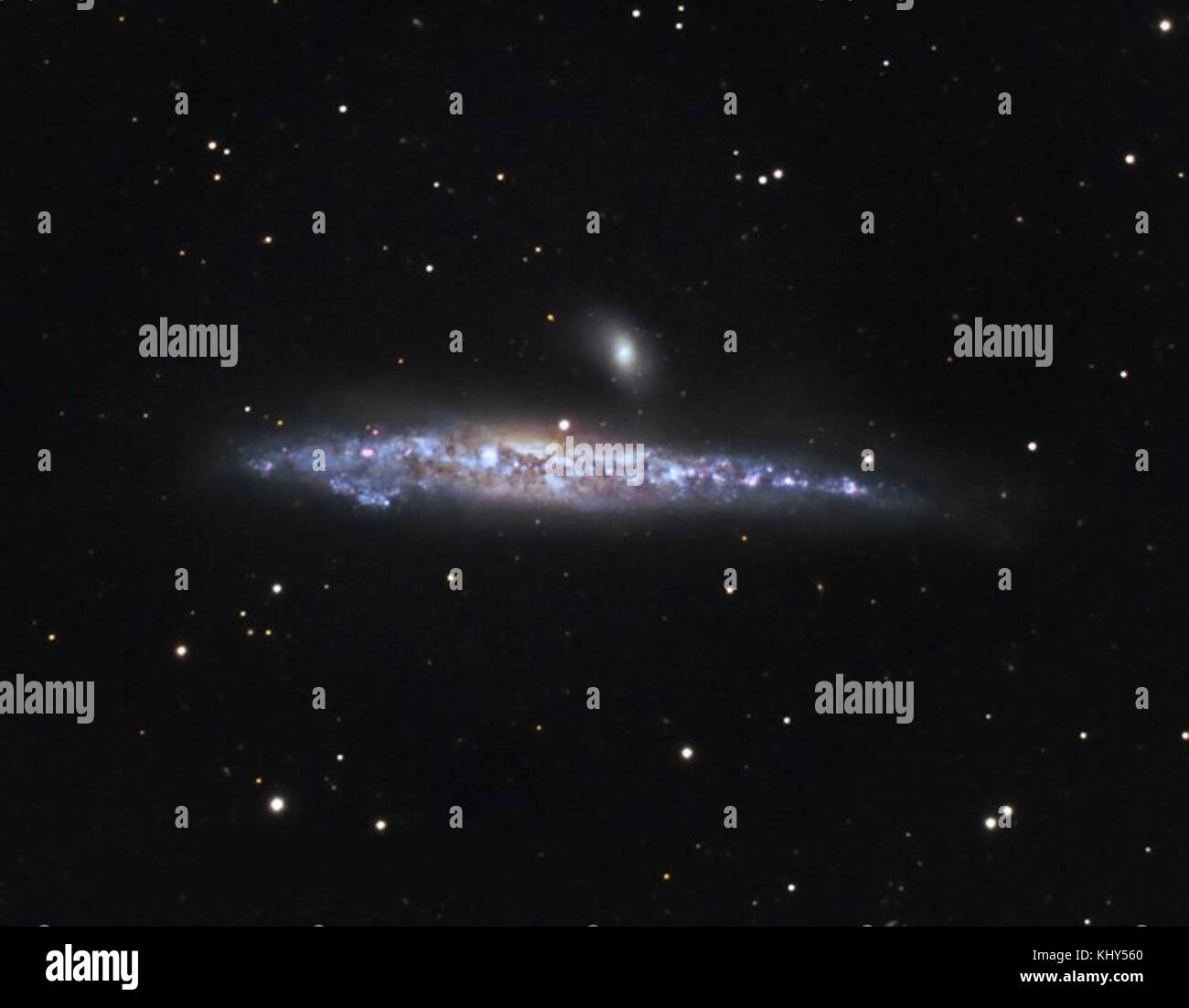 Observation visuelle de NGC 4631, connue sous le nom de galaxie des baleines, capturée par des astronomes. L'image met en évidence la forme distinctive de la galaxie et sa position dans la constellation Canes Venatici. Banque D'Images