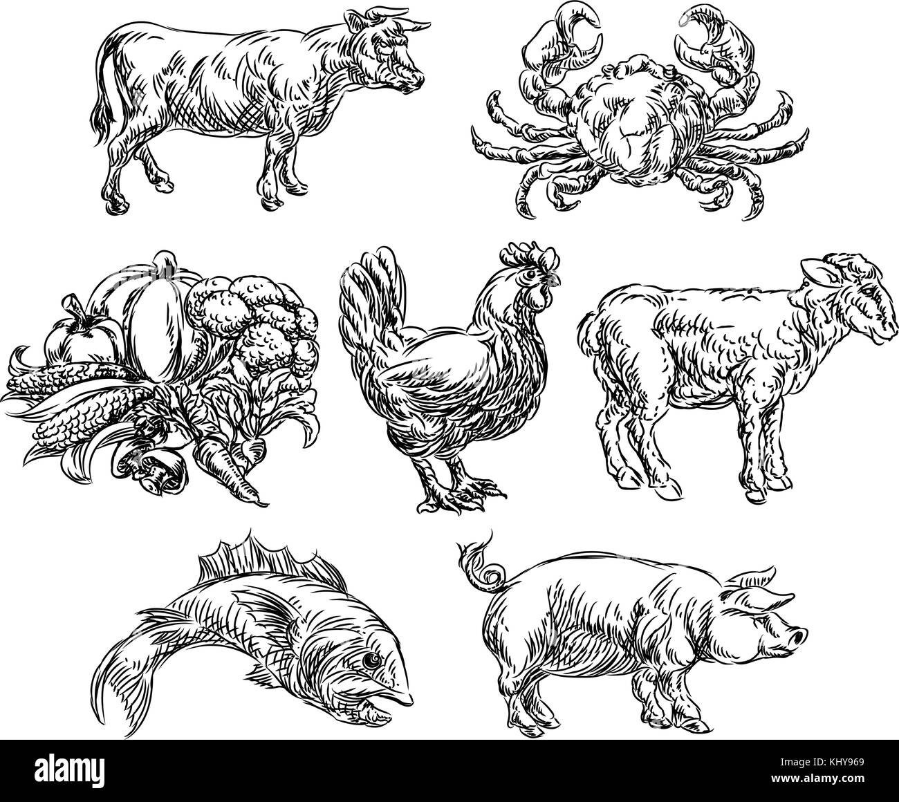 Groupes alimentaires Grunge Menu dessiné à la main Options icônes Illustration de Vecteur