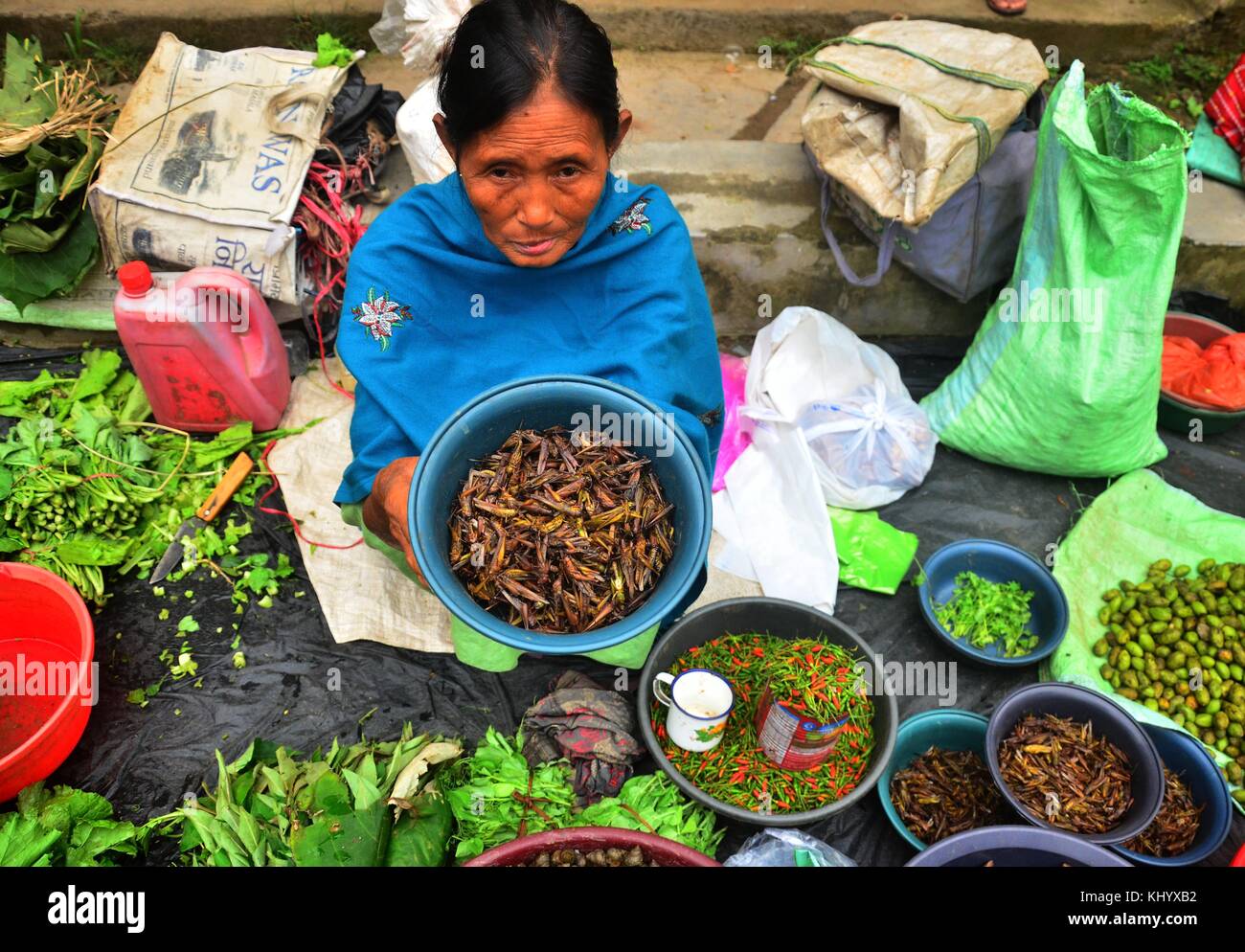 Jodhpur, Inde, Nagaland, 22 novembre 2017 : une femme montre sauterelle à sec à la vente à un marché de Jodhpur, Inde du nord-est de l'état de nagaland Banque D'Images