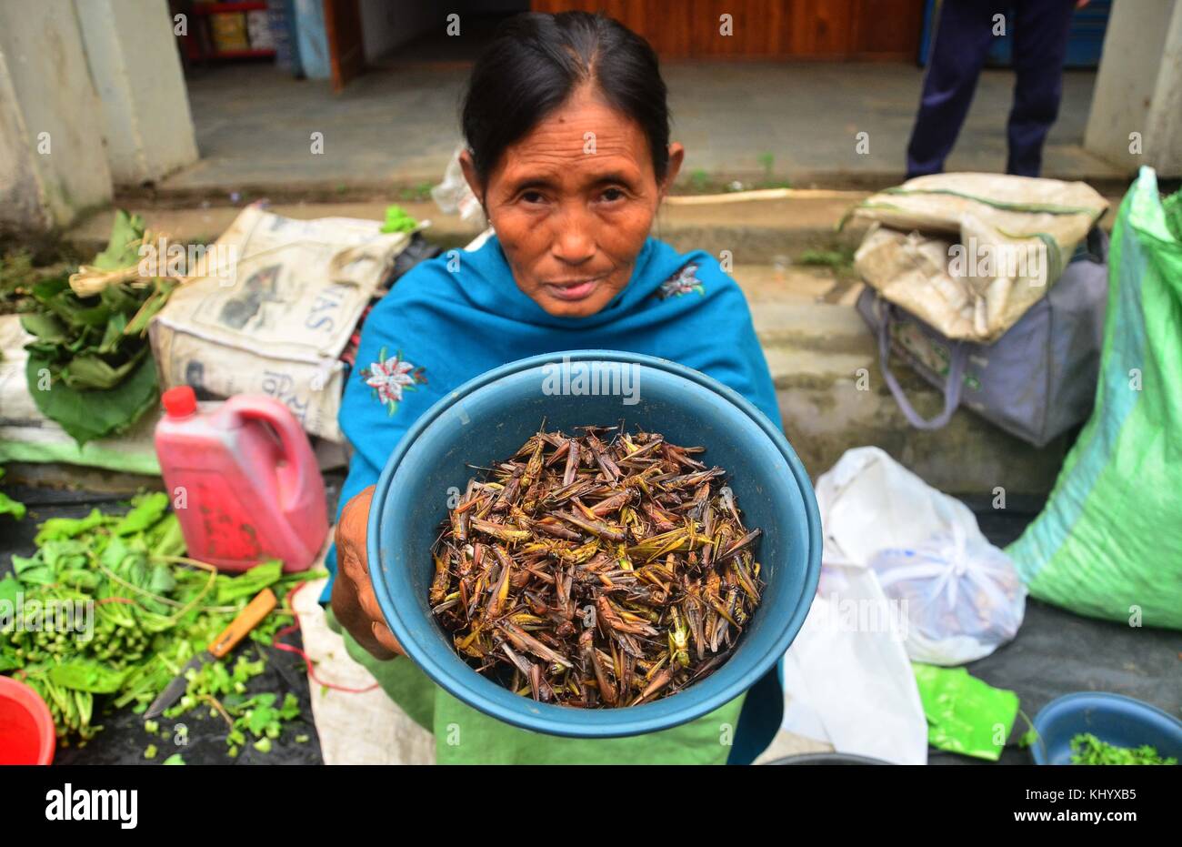 Jodhpur, Inde, Nagaland, 22 novembre 2017 : une femme montre sauterelle à sec à la vente à un marché de Jodhpur, Inde du nord-est de l'état de nagaland Banque D'Images