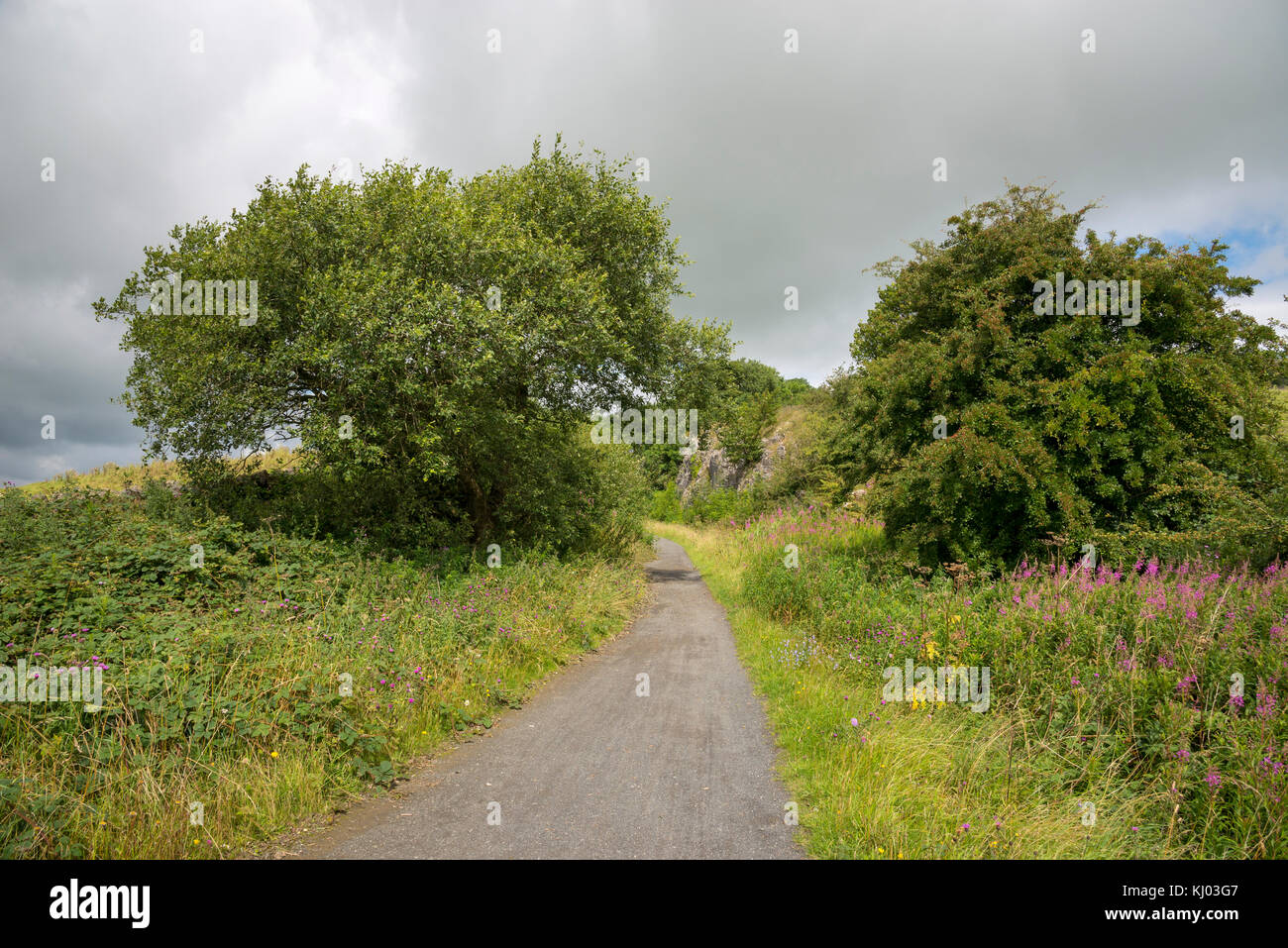 Le sentier de tissington près de hartington dans le parc national de Peak District, Derbyshire, Angleterre. Banque D'Images