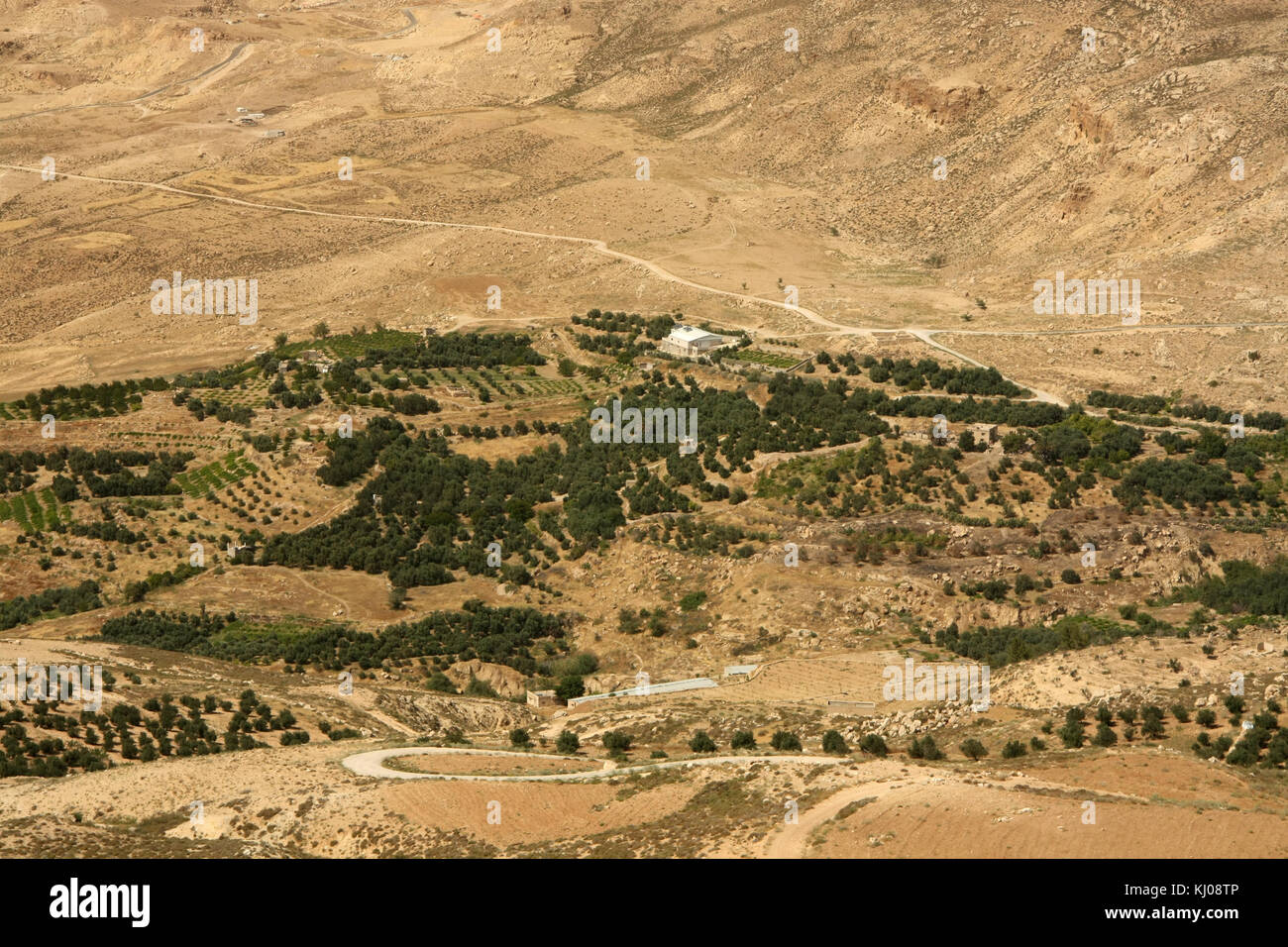 Vallée de printemps de Moïse (wadi ayun musa), vue depuis le mont Nébo. La vallée s