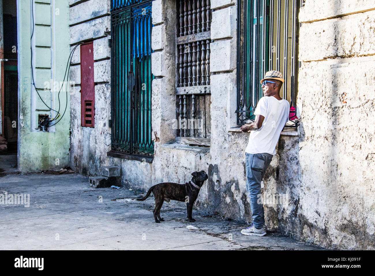 L'alimentation de l'homme Local son chien dans la rue à La Havane, Cuba Banque D'Images