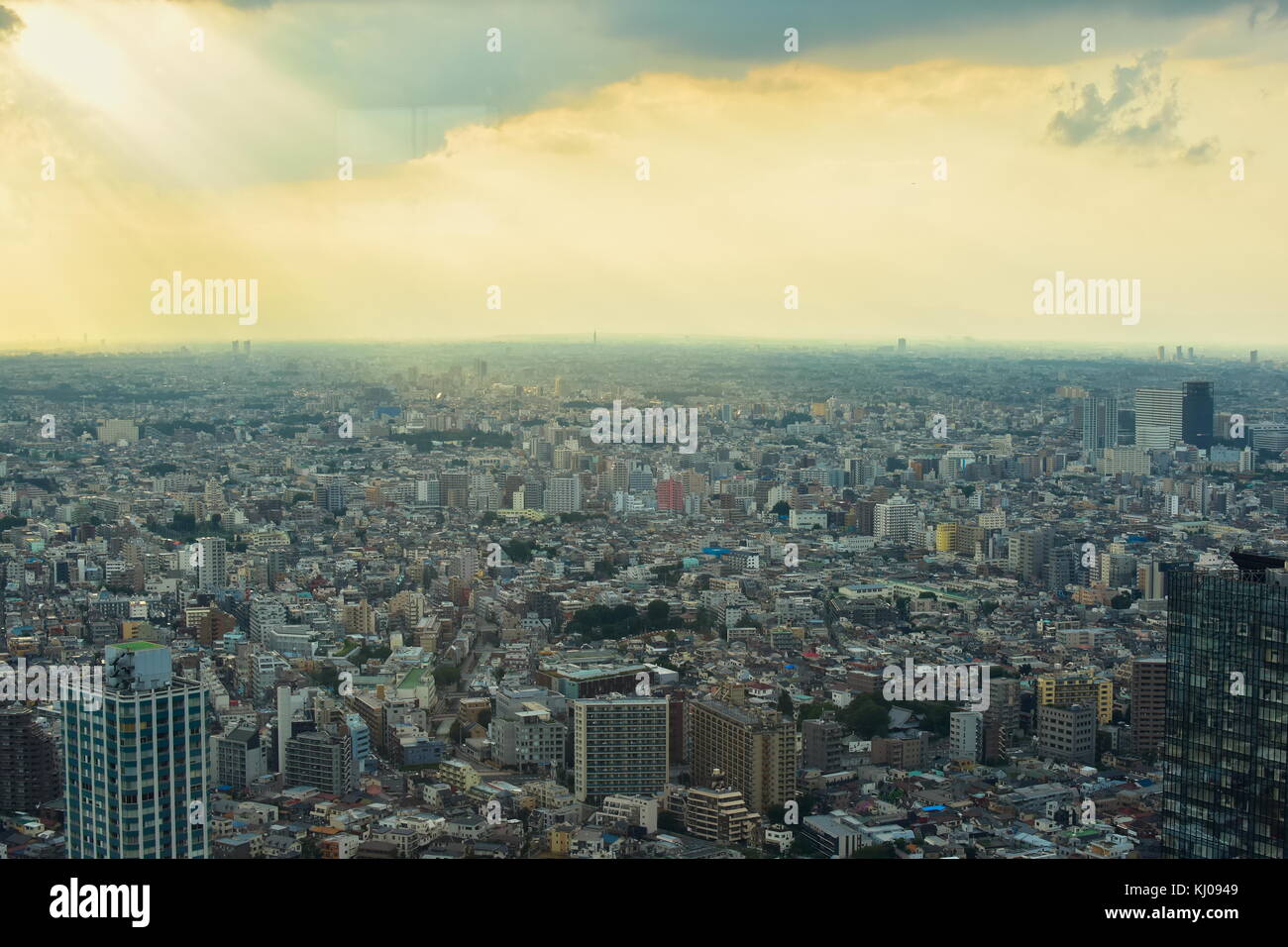 Vue sur Tokyo, Japon du 45e (202m)-de-chaussée de l'immeuble du gouvernement métropolitain. qu'une ville dynamique ! Banque D'Images